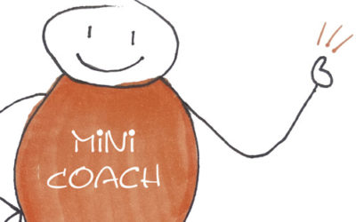 Mini Coach