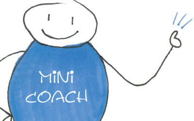 Mini Coach NL